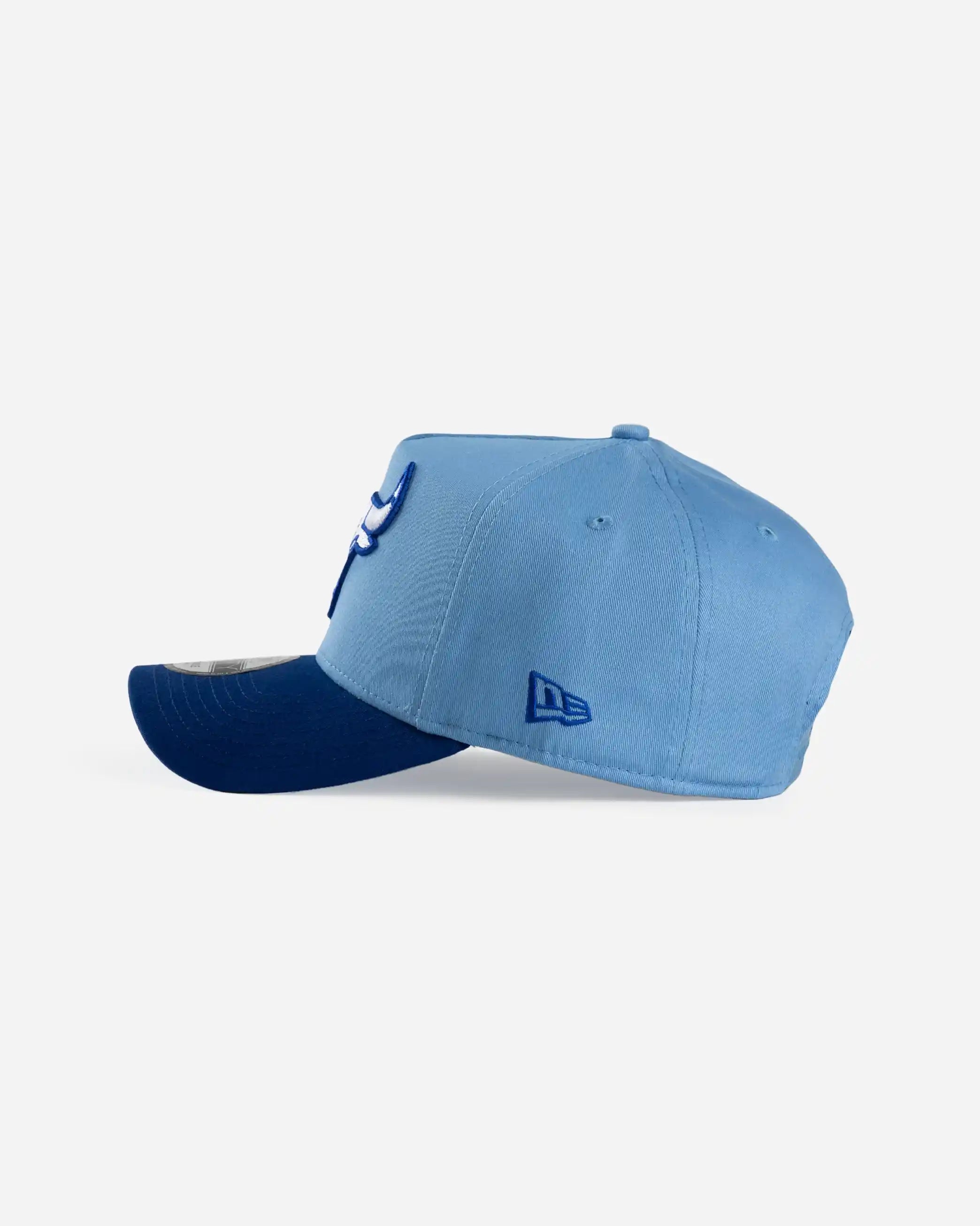Chicago Bulls Deep Freeze 9Forty A-Frame Snapback