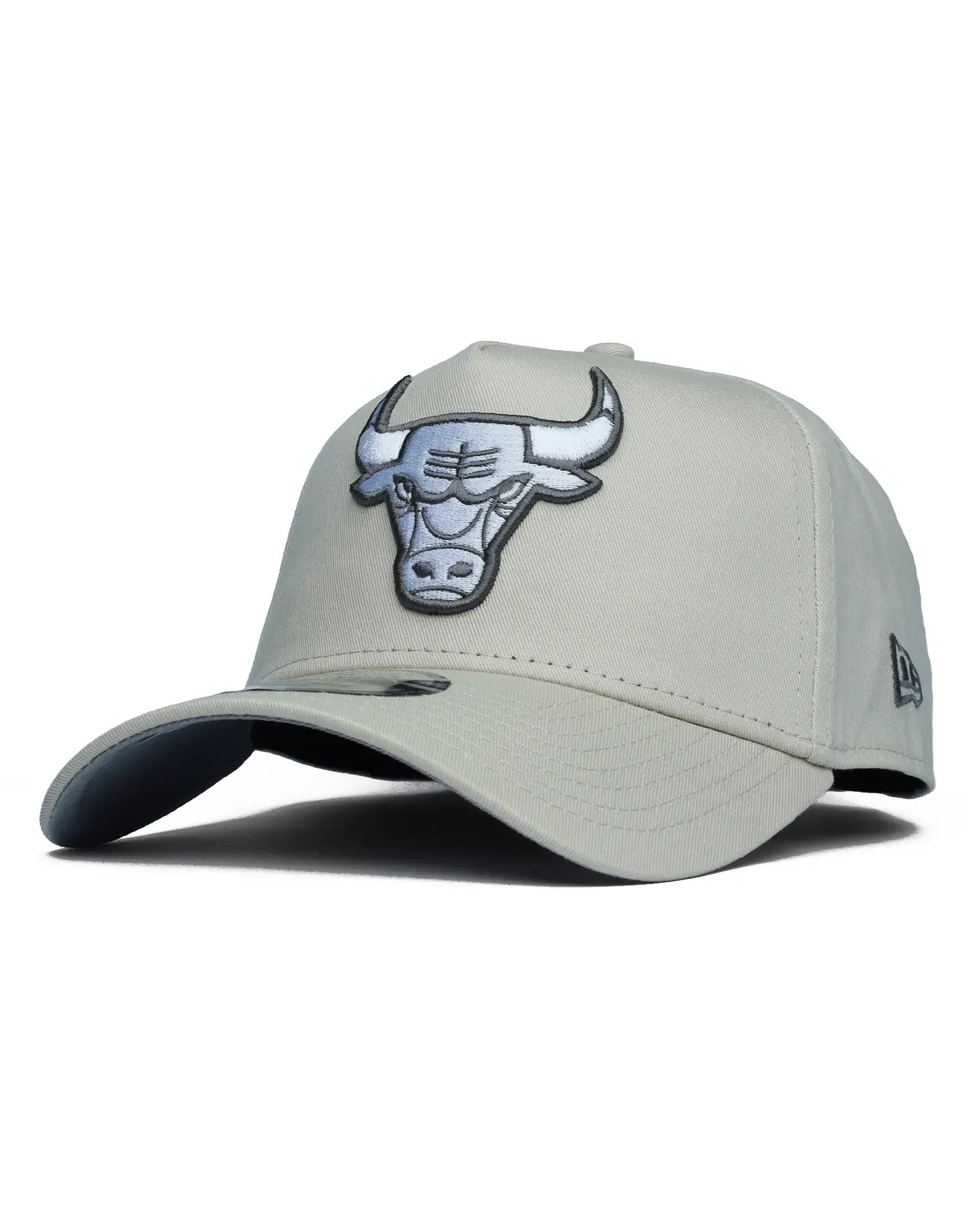 Chicago Bulls 9Forty A-Frame Adjustable Hat