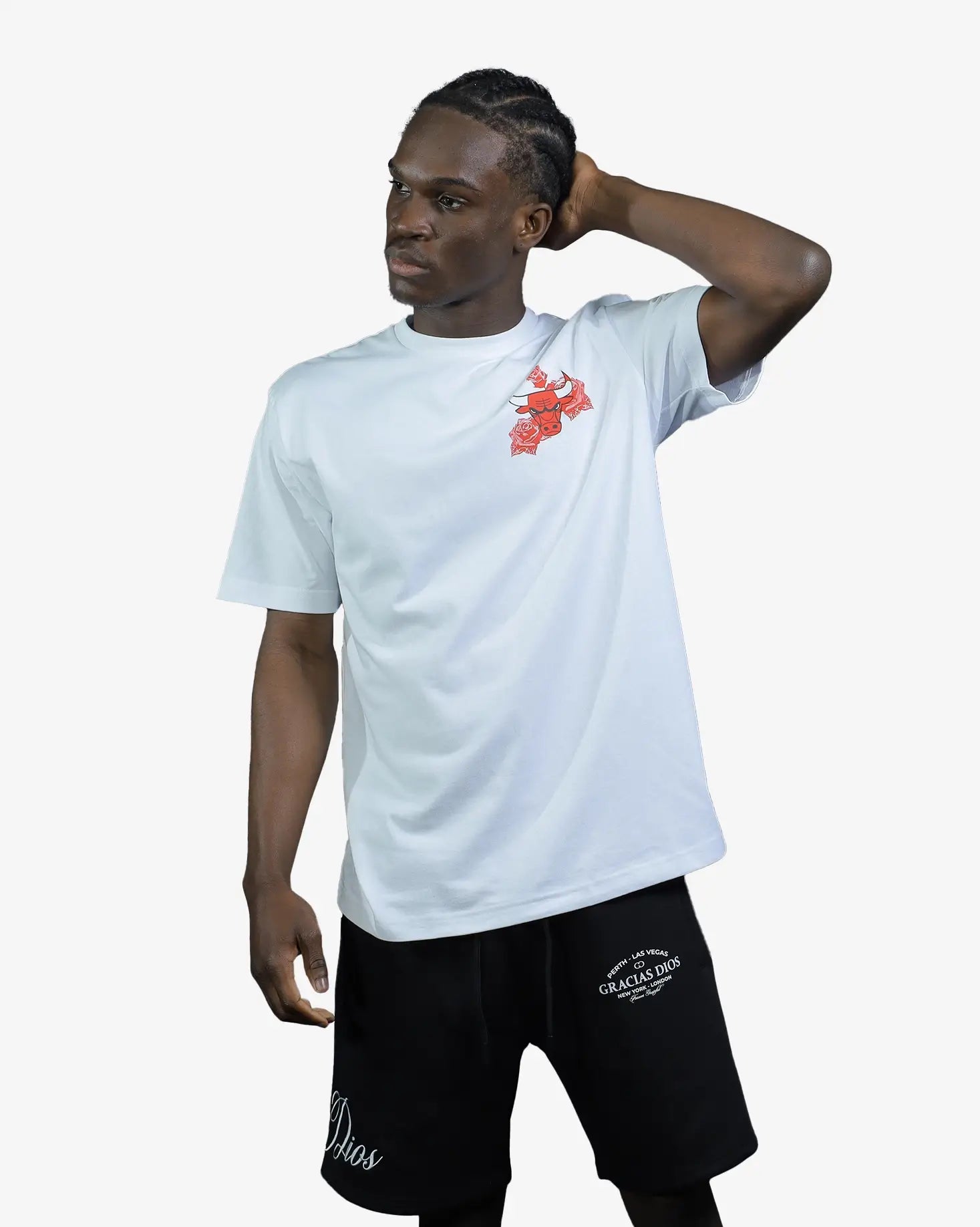 Chicago Bulls Trend Pop Grunge Rose NBA T-Shirt