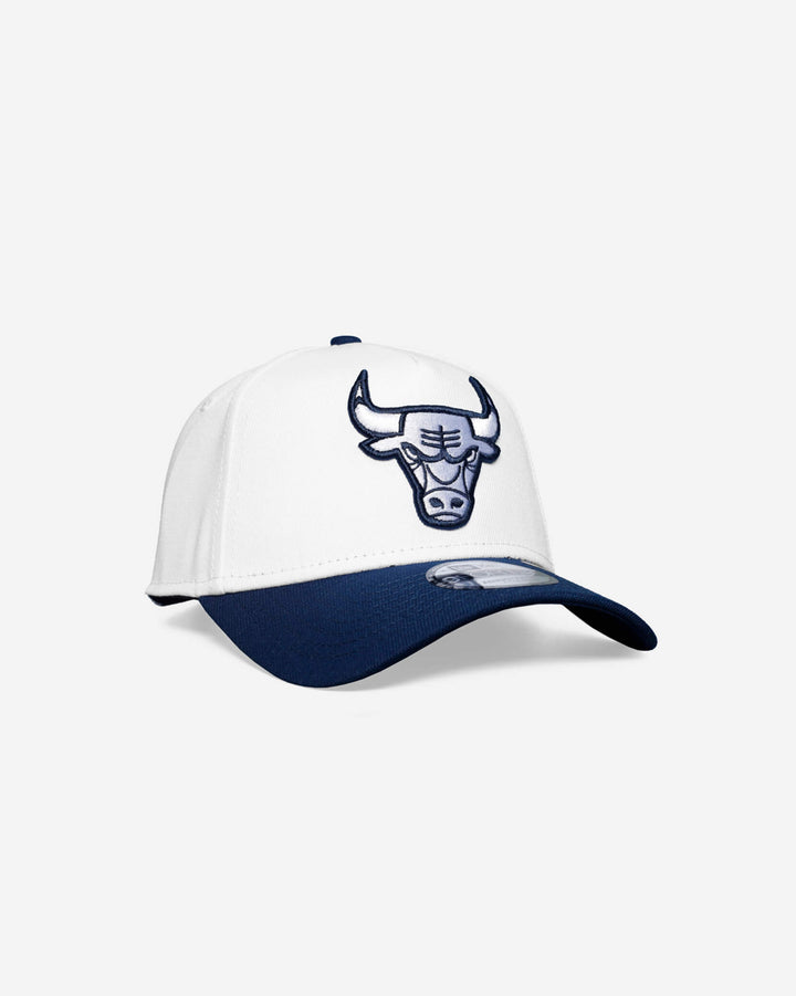 Chicago Bulls 9Forty A-Frame Snapback