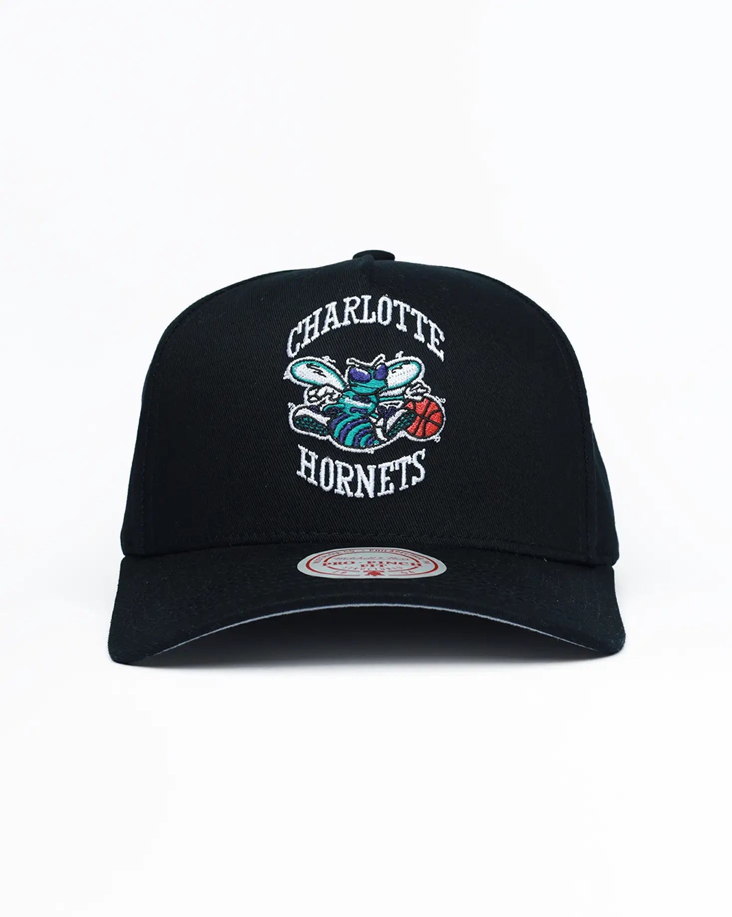 Charlotte Hornets Pro-Fit Snapback
