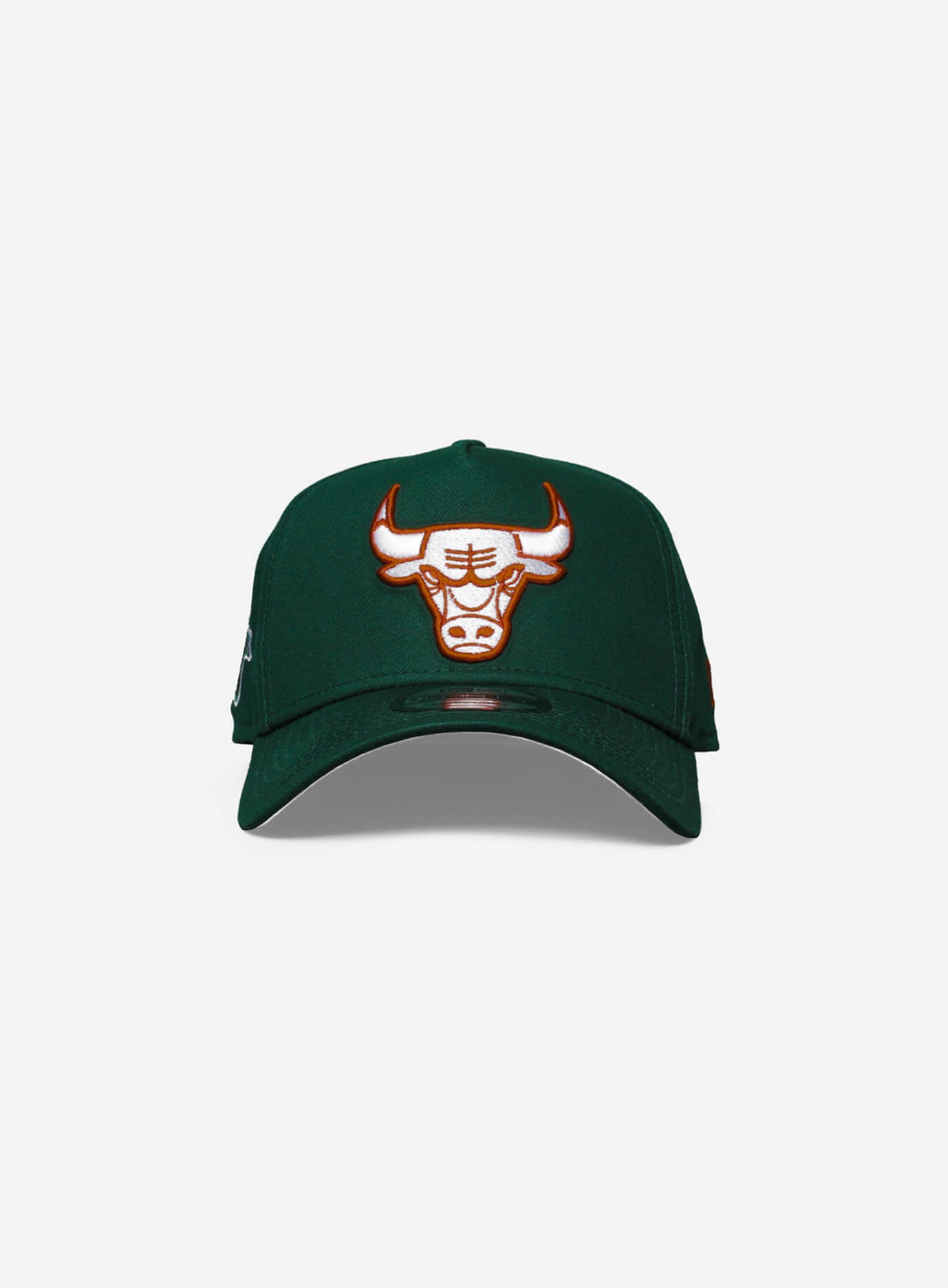 Chicago Bulls Copper Green 9Forty A-Frame Snapback