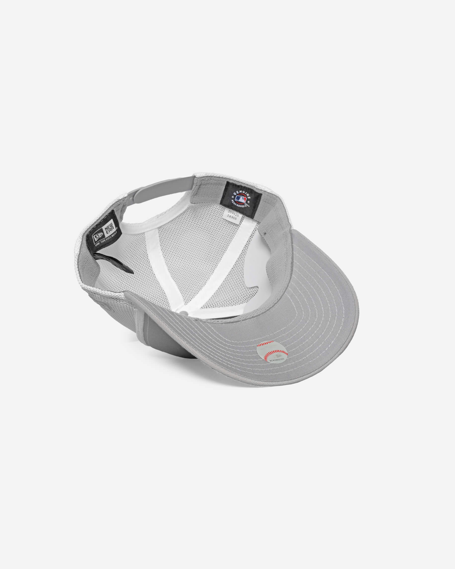 Las Vegas Raiders Trucker Cap
