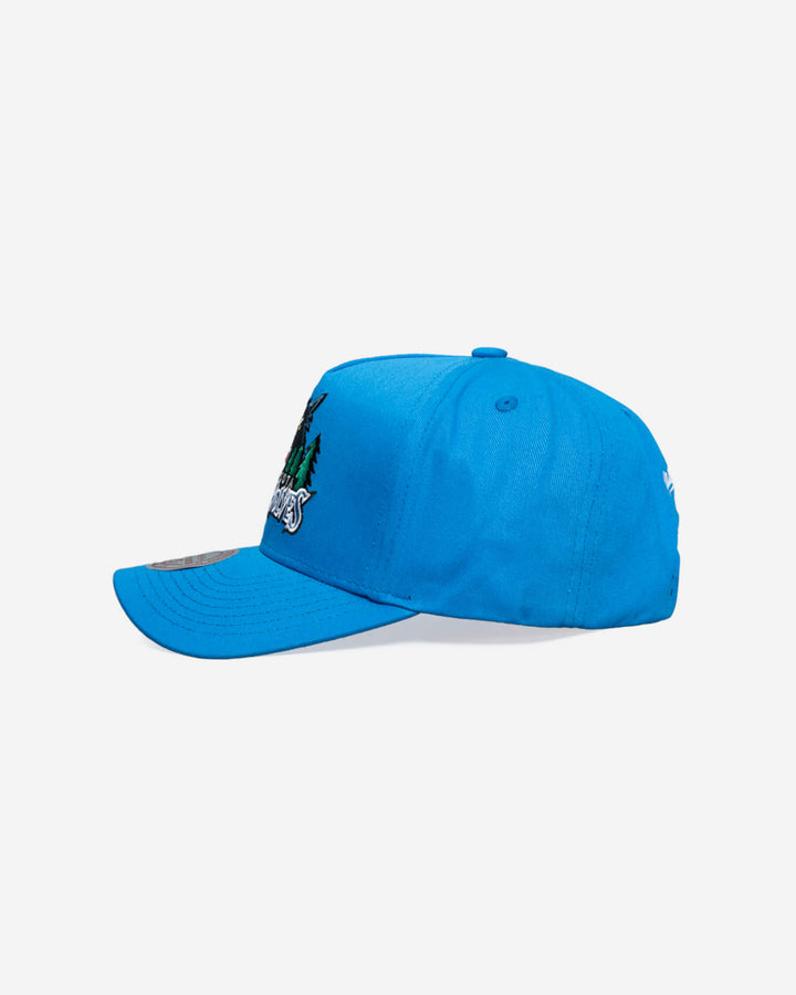 Minnesota Timberwolves Pro Pinch Fit Snapback