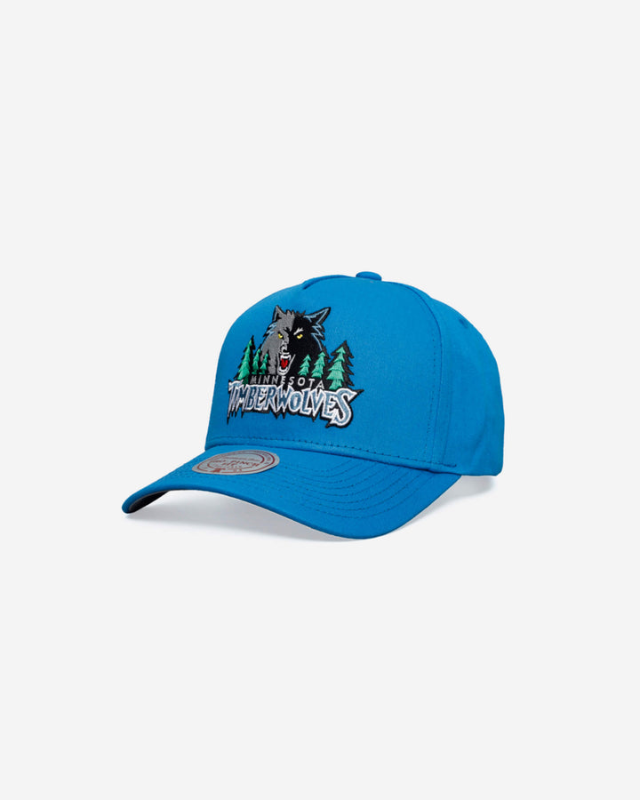 Minnesota Timberwolves Pro Pinch Fit Snapback