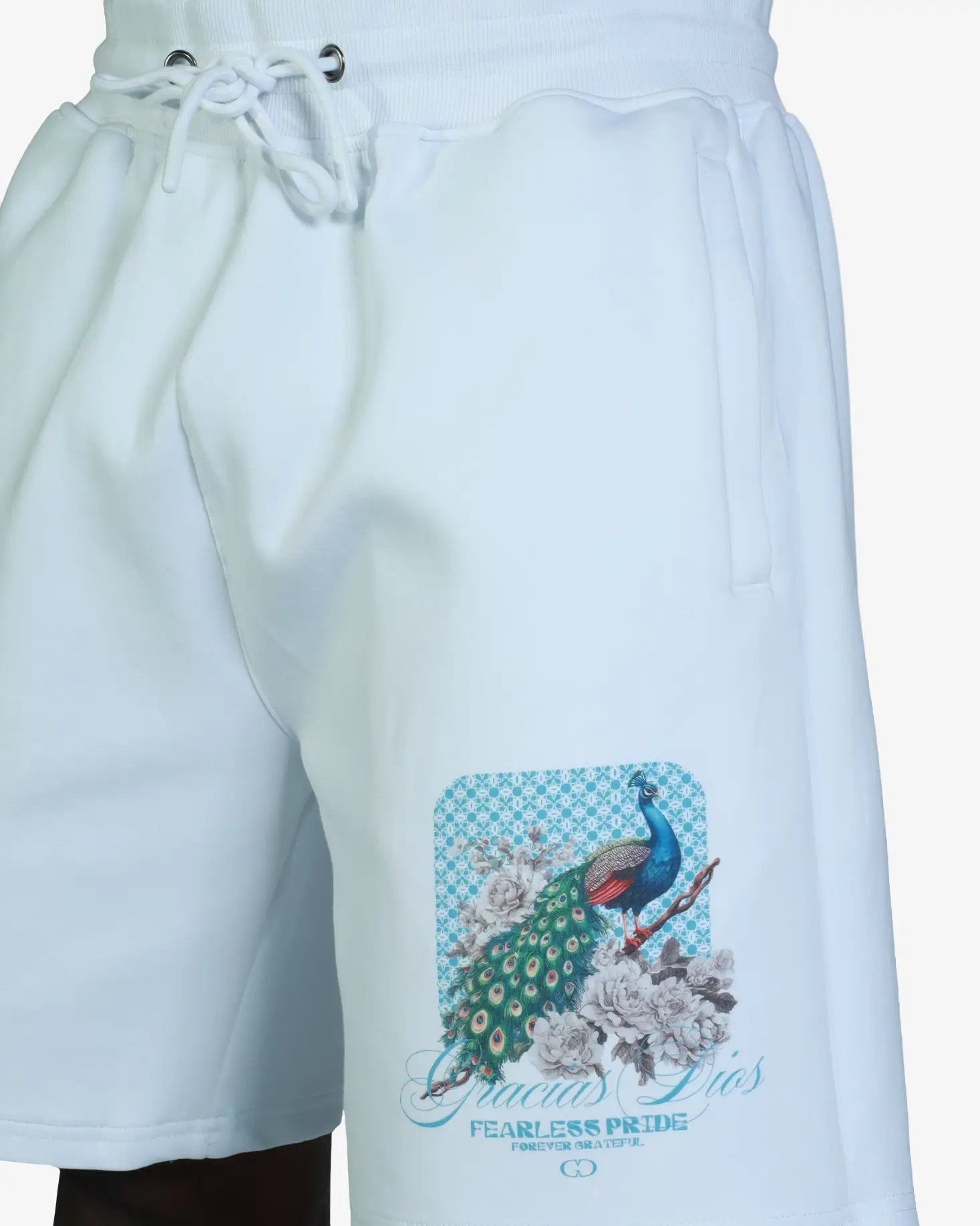 GD Fearless Pride Fleece Shorts