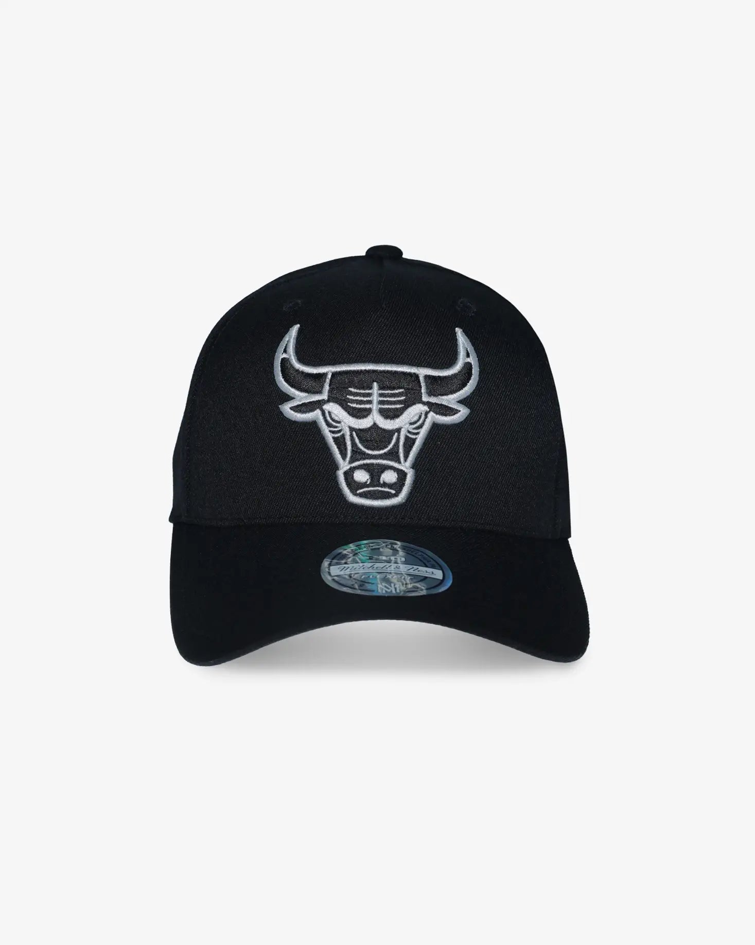 Chicago Bulls 110 Flex Fit Adjustable Hat